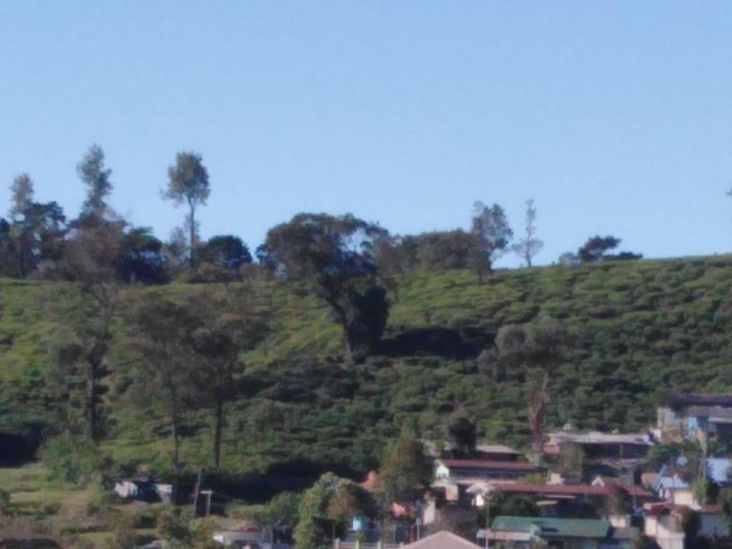 Frosty Heaven Guest House นูวาราเอลิยา ภายนอก รูปภาพ